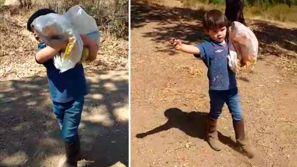 Un niño de 5 años dedica sus vacaciones de verano a proporcionar alimento y agua a la fauna silvestre