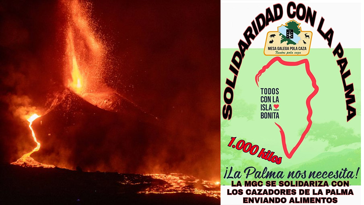   Mesa Galega por la Caza envía mil kilos de pienso para animales afectados volcán La Palma