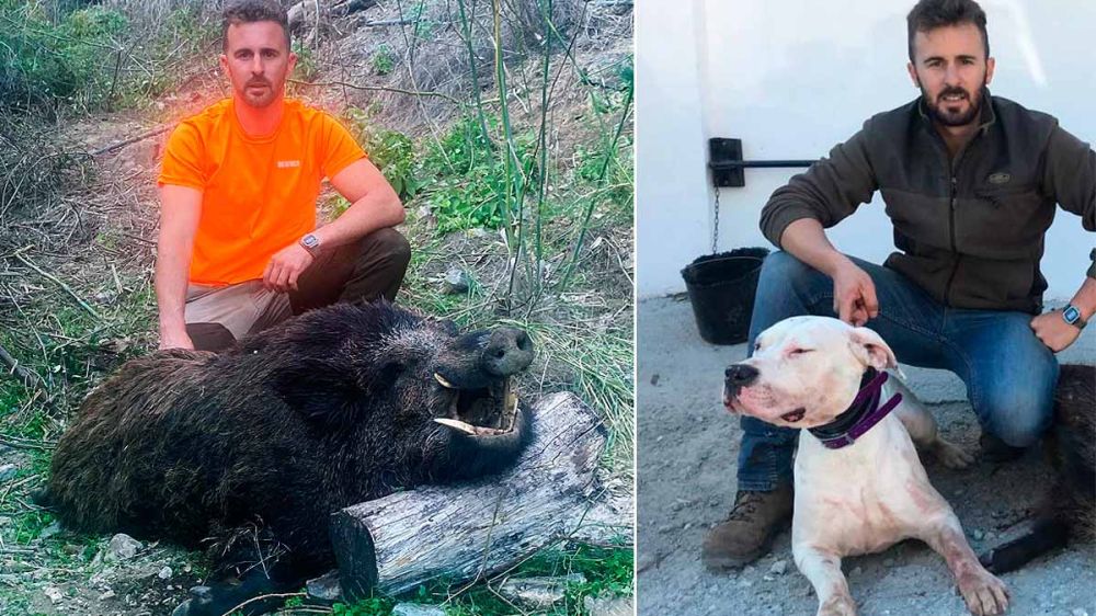 Un dogo argentino evita que un cazador resulte herido por los colmillos de un impresionante jabalí