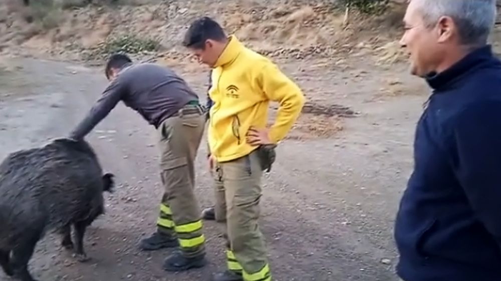 Un guarda rural y bomberos forestales evitan la propagación de un incendio en los montes de Nico el jabalí