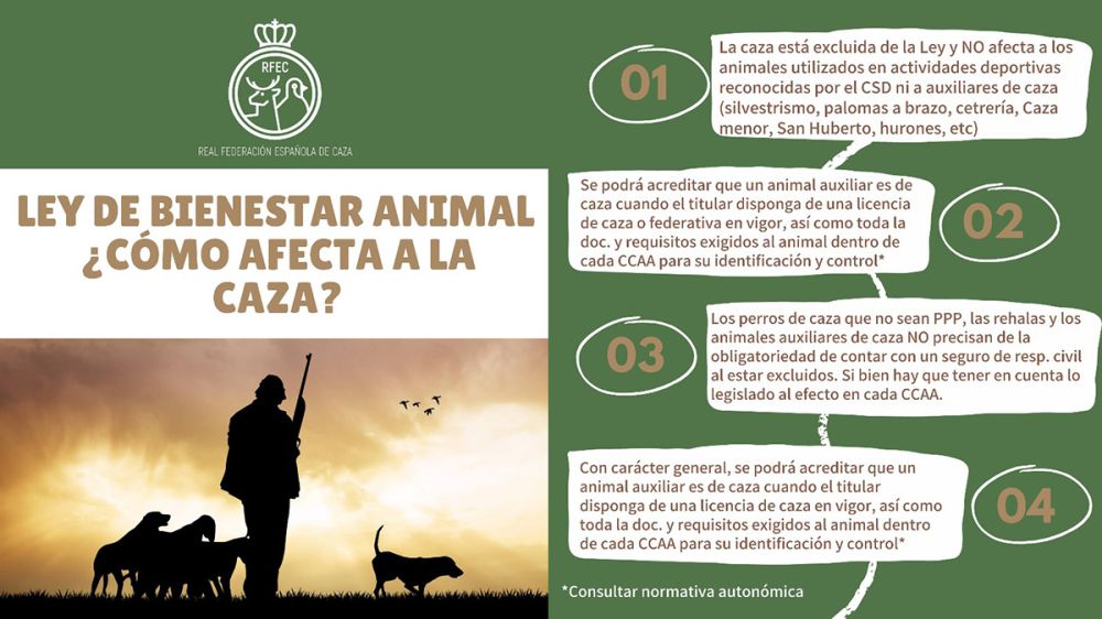 La Ley Animalista entra hoy en vigor y no afectará a la caza