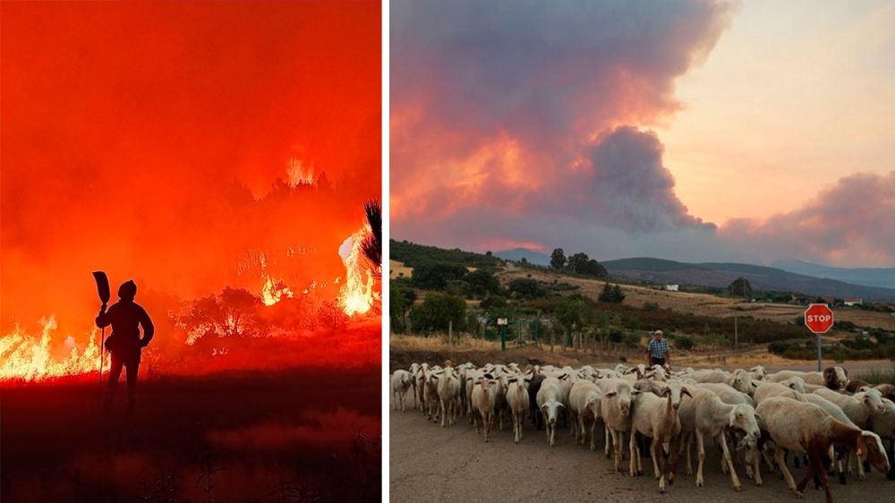 Se incendian las Hurdes y las llamas avanzan por Salamanca: pueblos desalojados y más de 2.600 hectáreas calcinadas