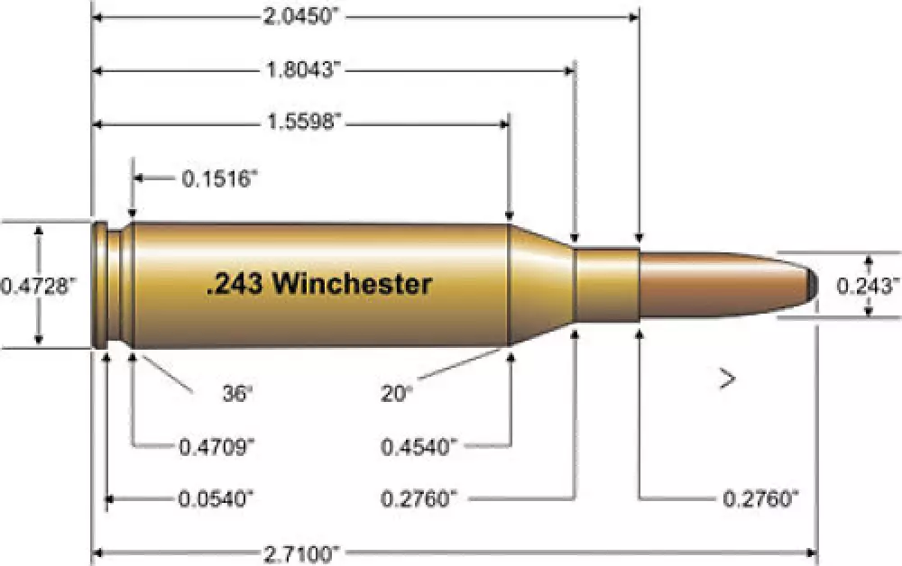   243 Winchester Diagrama Horizontal