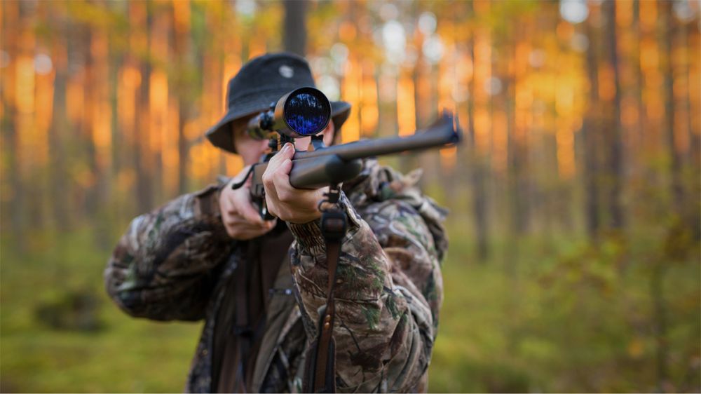 Los cazadores le piden a Europa que flexibilice la importación de armas de caza para facilitar la llegada de cazadores extranjeros a España