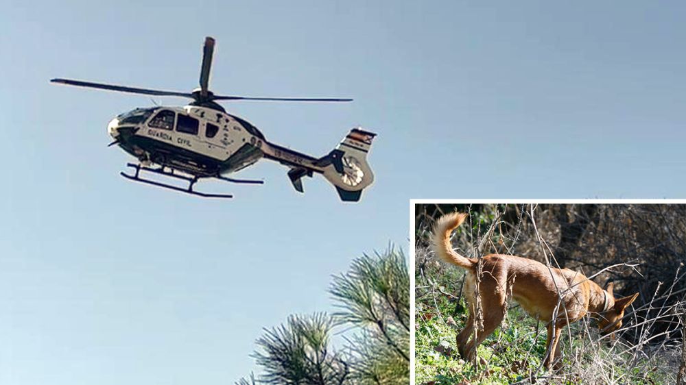 Usan un helicóptero para buscar a dos perros de caza robados y detienen al autor del hurto