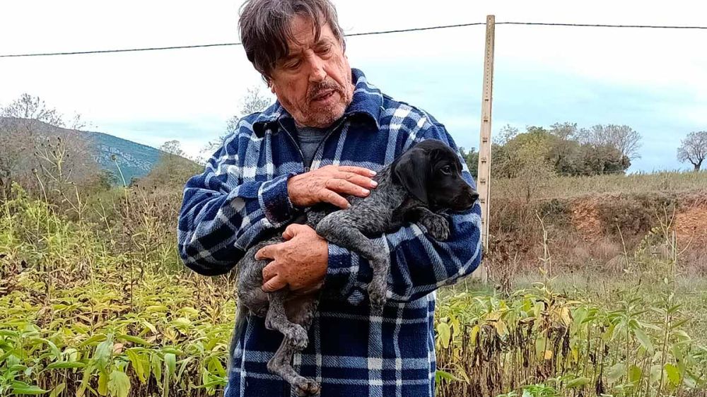 Un cazador de 74 años adopta un perro y esto le podría costar una sanción de entre 10.000 y 300.000€