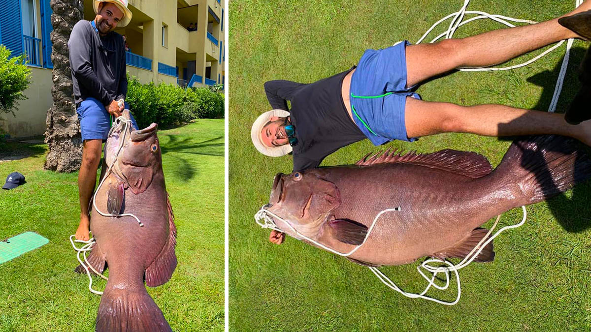  Pesca un mero monstruoso de 85 kilos