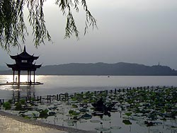  El lago de Hangzhou donde han procreado numerosos cerdos salvajes