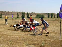  Momentos de del último campeonato de España de galgos sobre liebre mecánica celebrado en 2005 en Medina del campo