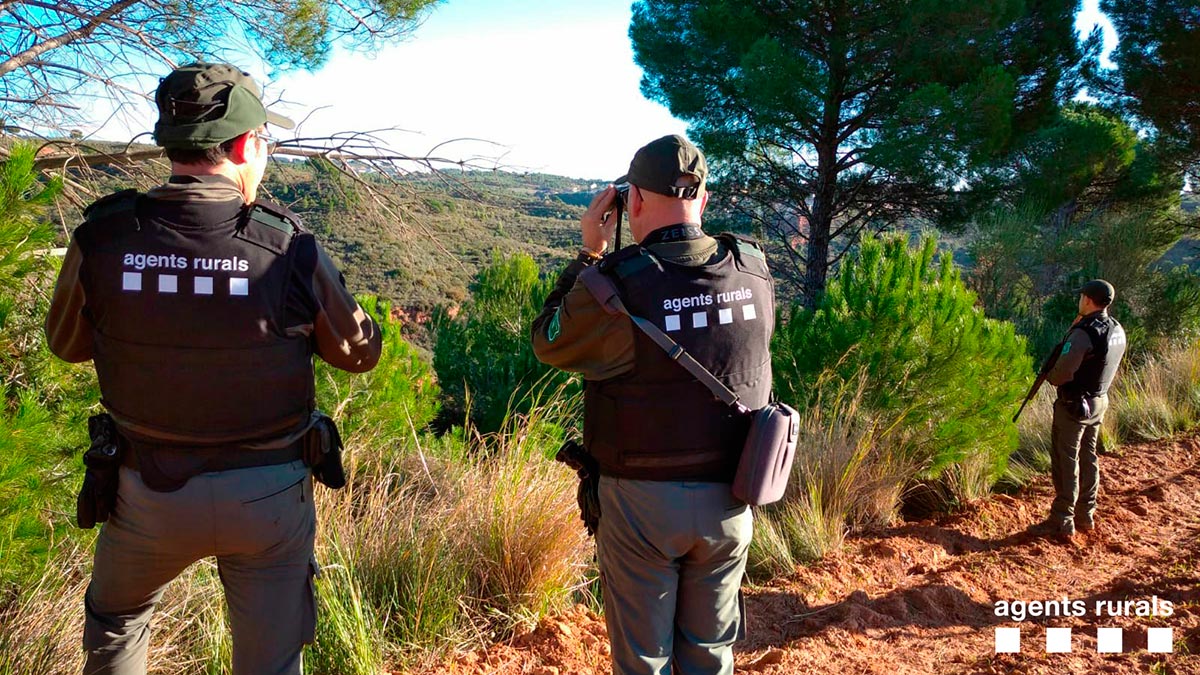   110 escopetas para agents rurals cataluña