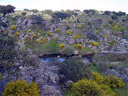  Una vista del Parque natural de Cornalvo