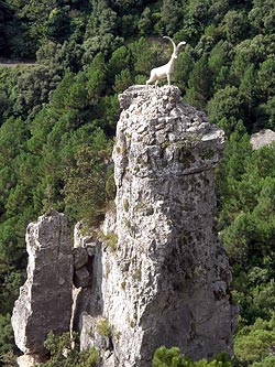  Monumento a la cabra.