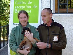  Alfonso Couret haciendo entrega del cachorro de sabueso de montaña de Baviera a Luis Palacio, guarda de la Reserva Regional de Benasque.