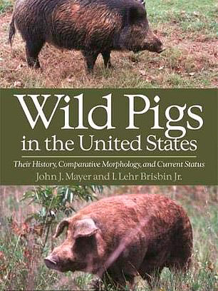  Cerdos Salvajes en los Estados Unidos