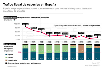  Tráfico ilegal de especies en España
