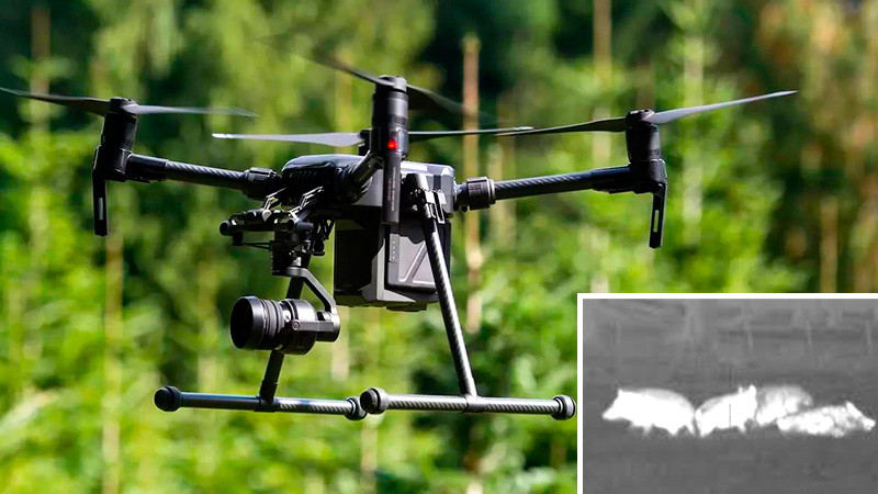  Drones para cazar jabalí