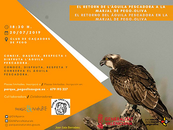Cazadores que apuestan el águila pescadora