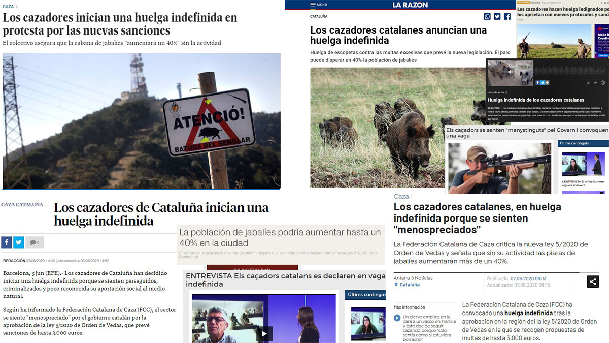 Caza - cobertura medios
