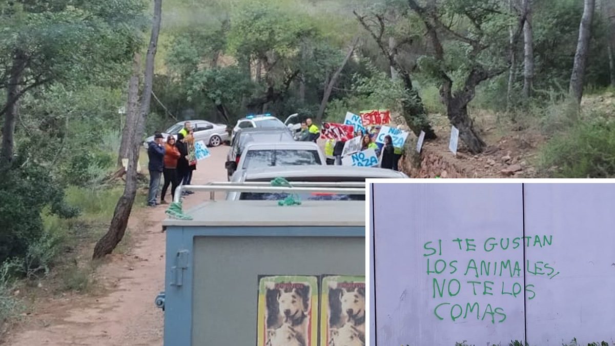   Animalistas insultan cazador en batida de jabalíes