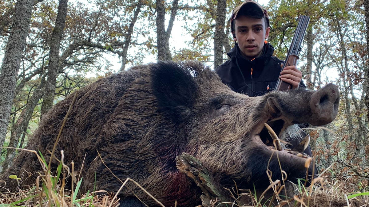   Héctor Araujo cazador 16 años caza gran jabalí enormes colmillos