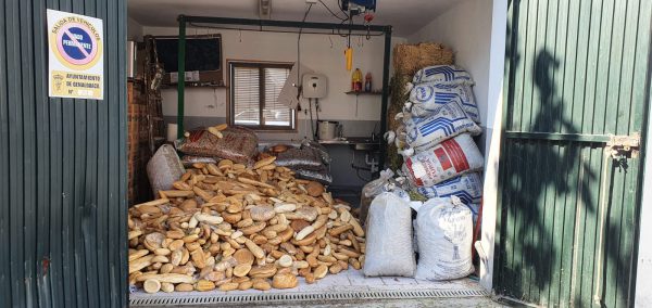 Pan elaborado para los animales de los montes afectados por el incendio.