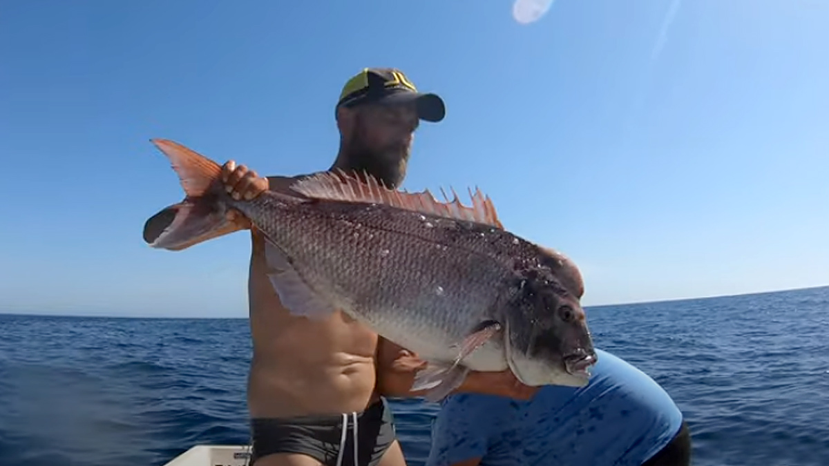  Pesca sama de 11 kilos a jigging
