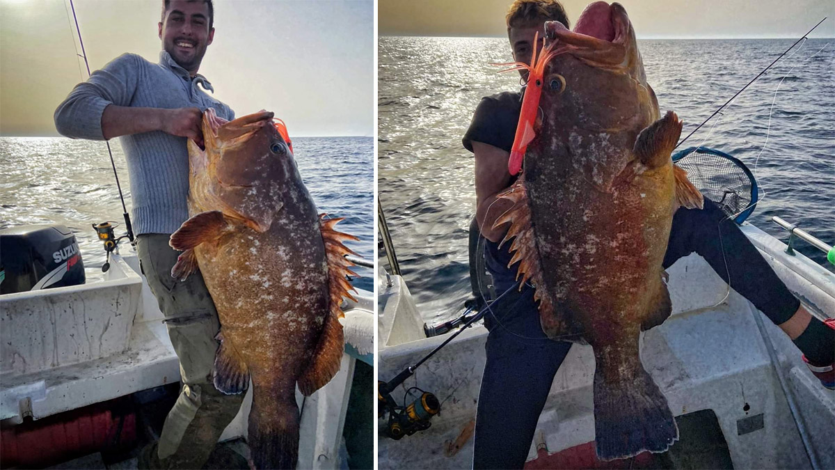  Pescan mero de 17 kilos Cádiz