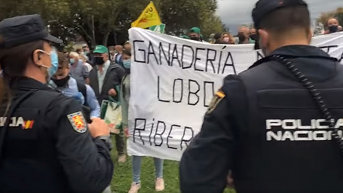  Policía impide manifestación ganaderos contra protección lobo Cantabria