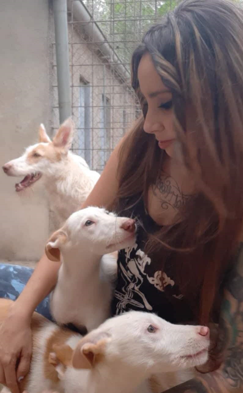 Los cazadores cuidan a sus perros