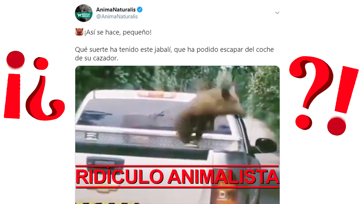 Ridículo animalista
