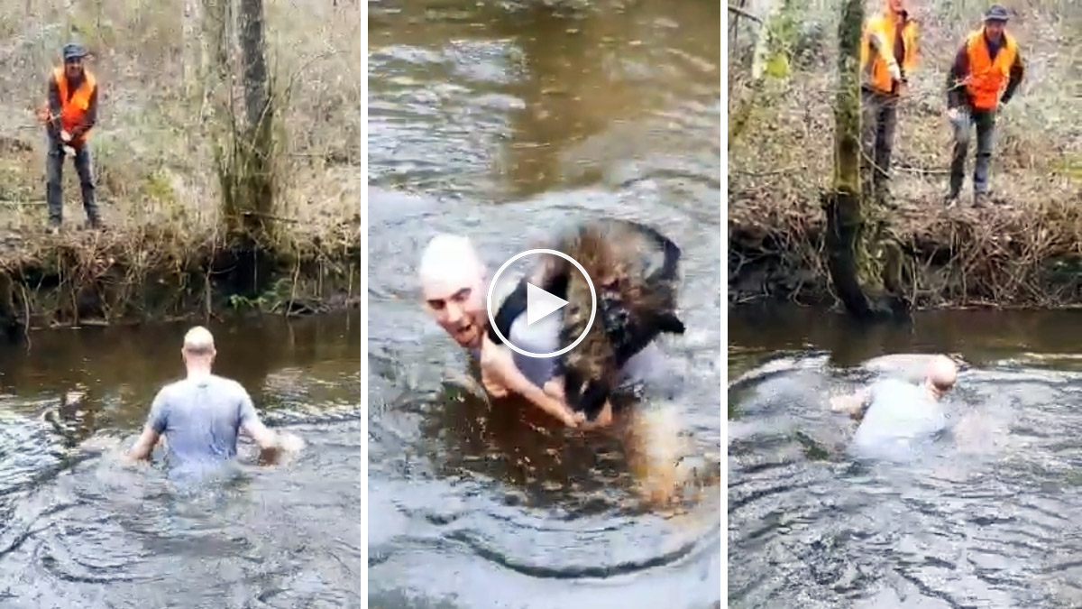   Se mete en el río a coger un jabalí hundido en el agua