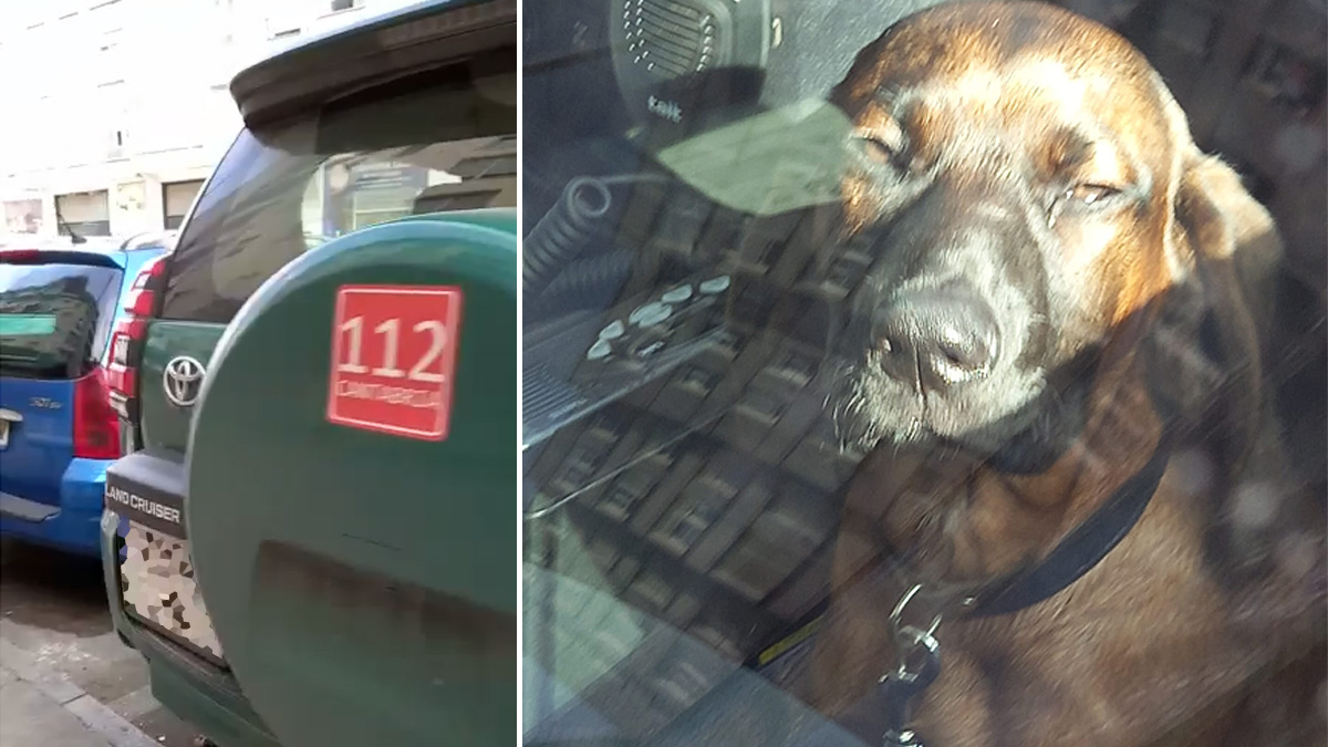   agentes medio natural Cantabria dejan perro de caza dentro vehículo una hora