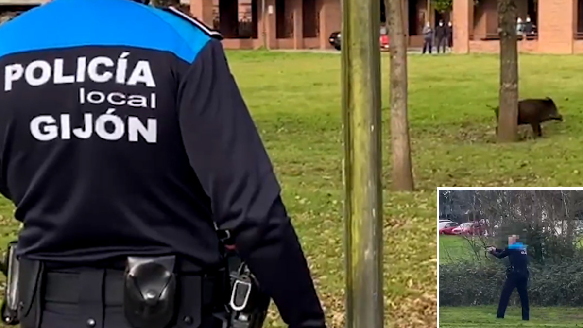  así dispara policía jabalí parque Gijón