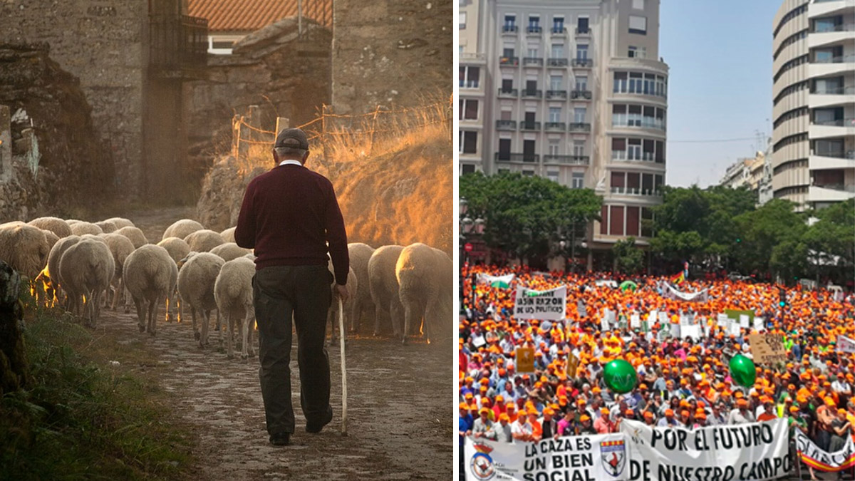 cazaderos y ganaderos unidos contra protección lobo