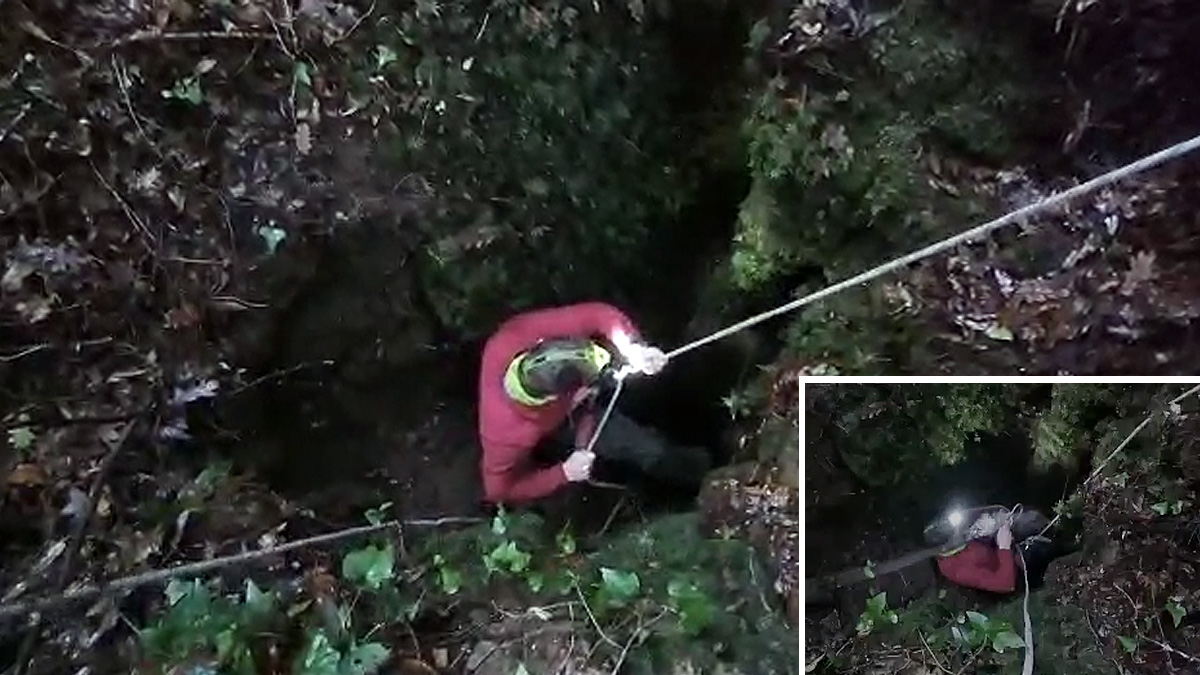   cazador rescata perro caído en pozo