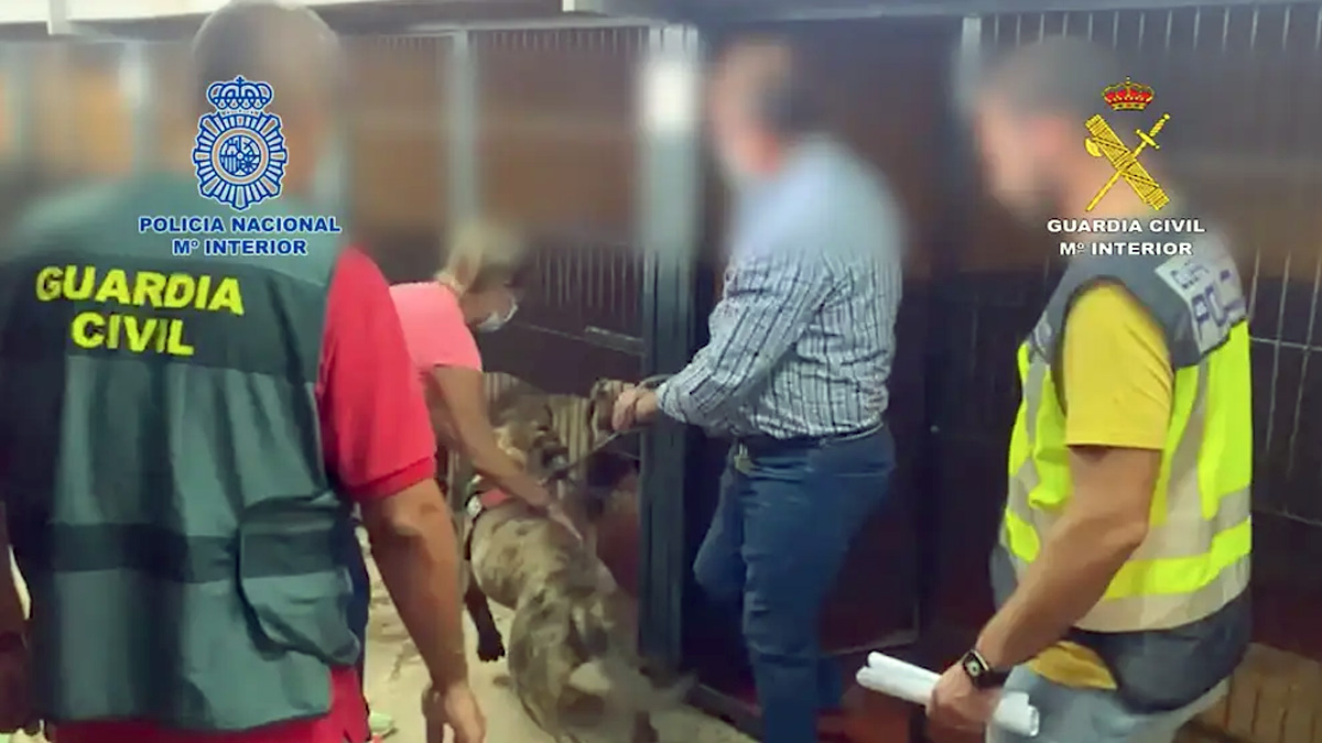   detenido ladrón de perros Sevilla