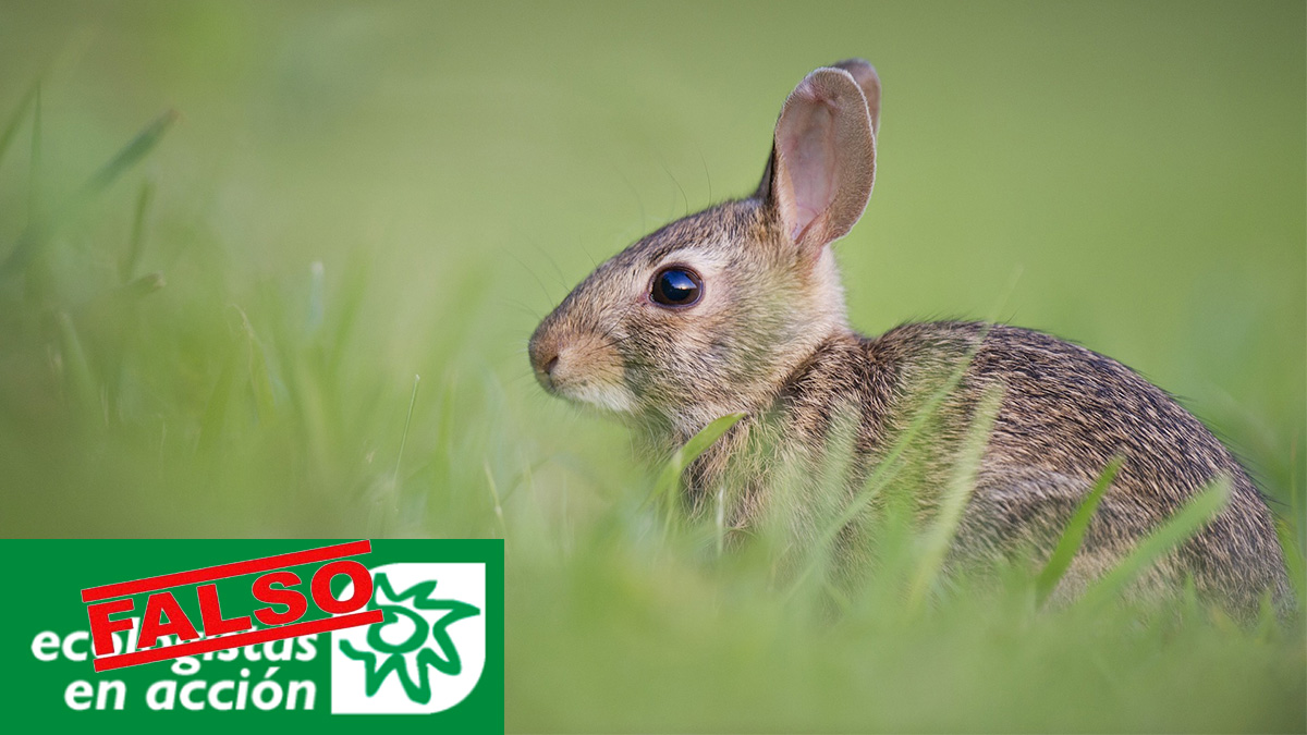  ecologistas en acción y la caza de conejos en Estado de Alarma