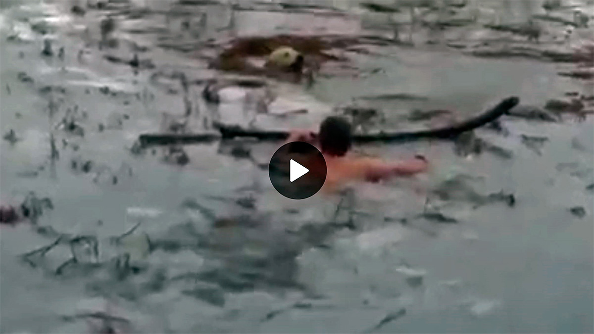   guardias civiles se lanzan a un estanque helado para salvar a un perro