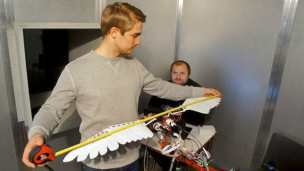  drones que parecen pájaros