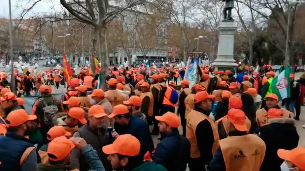   Manifestación Madrid