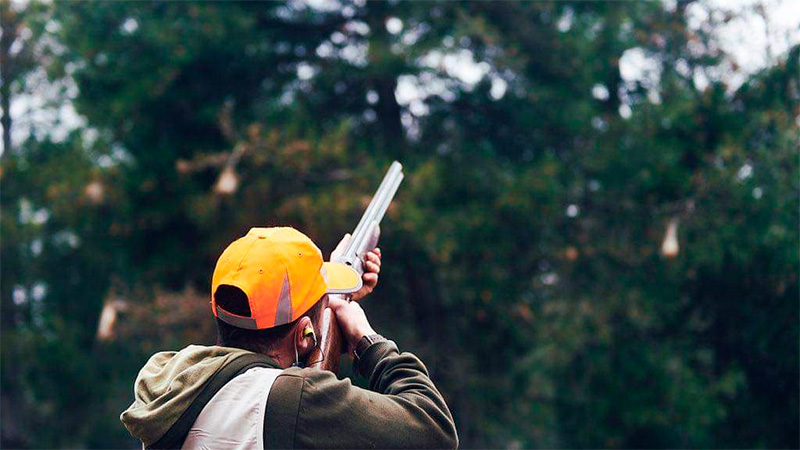  cazadores contra procesionaria disparos escopeta