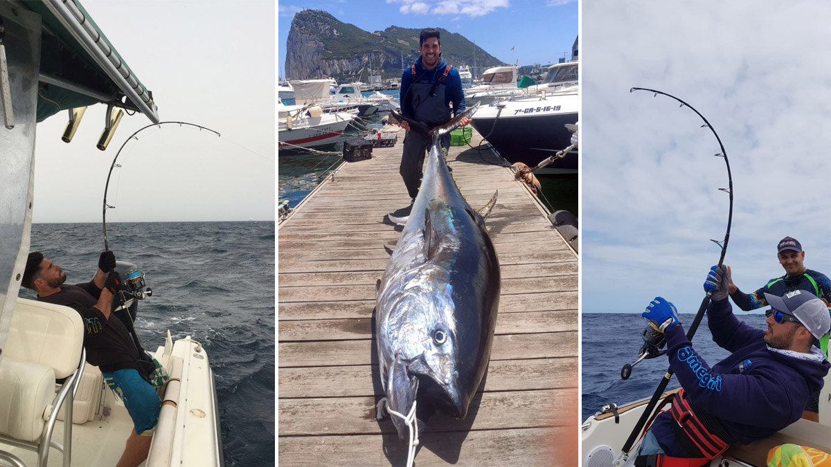  pesca atún 300 kilos Cádiz