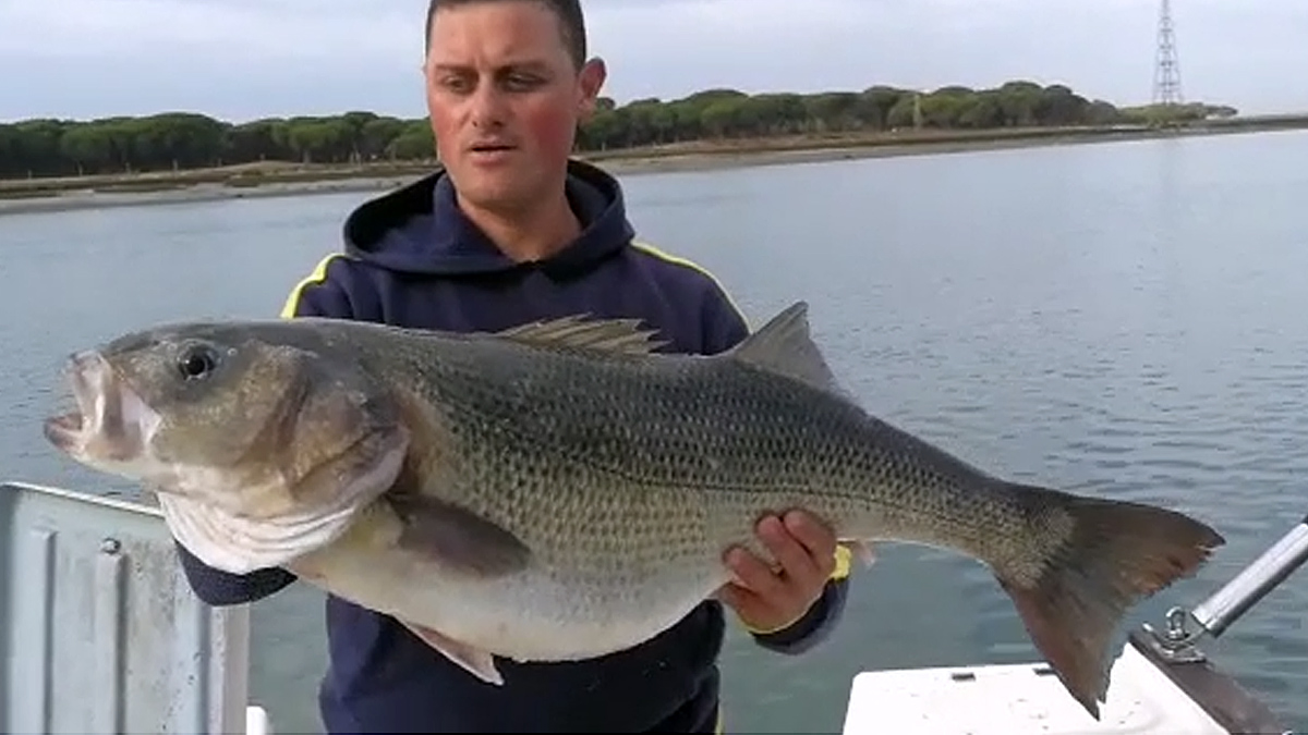   pesca lubina 10 kilos Huelva