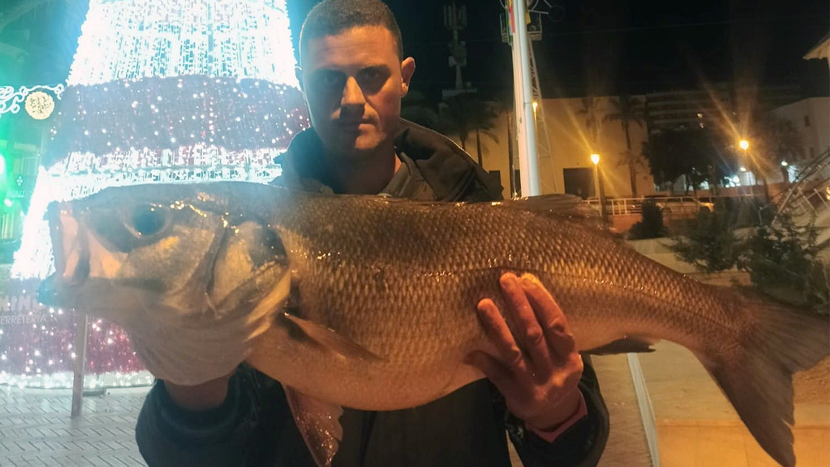   pesca lubina 6 kilos navidad