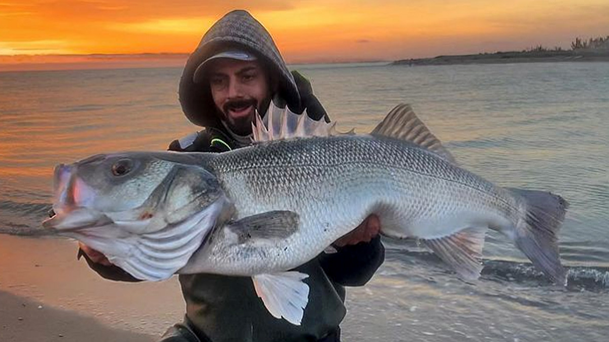   pesca lubina 9 kilos