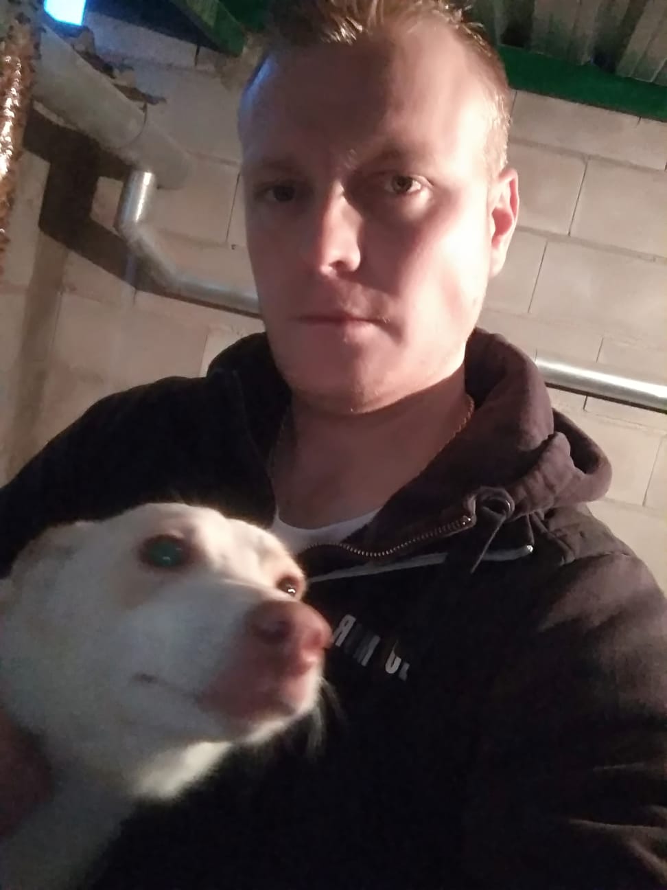 Los cazadores cuidan a sus perros
