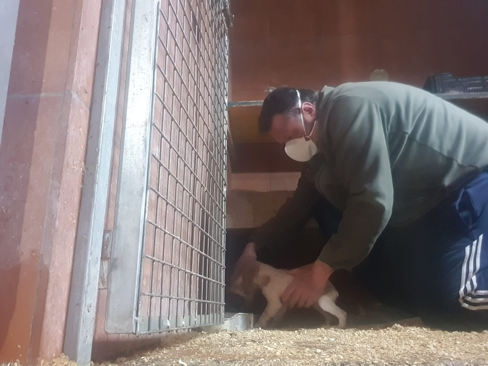 Los cazadores cuidan a sus perros