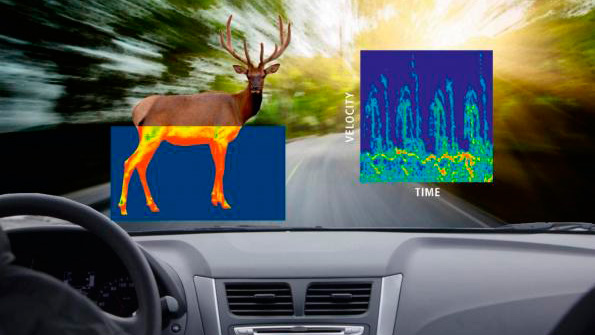  Radar para animales
