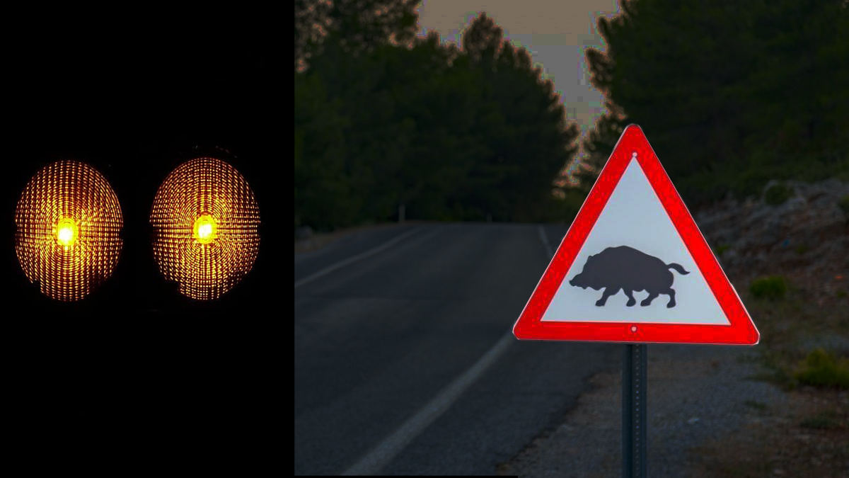 señales luminosas evitar accidentes jabalíes Cataluña