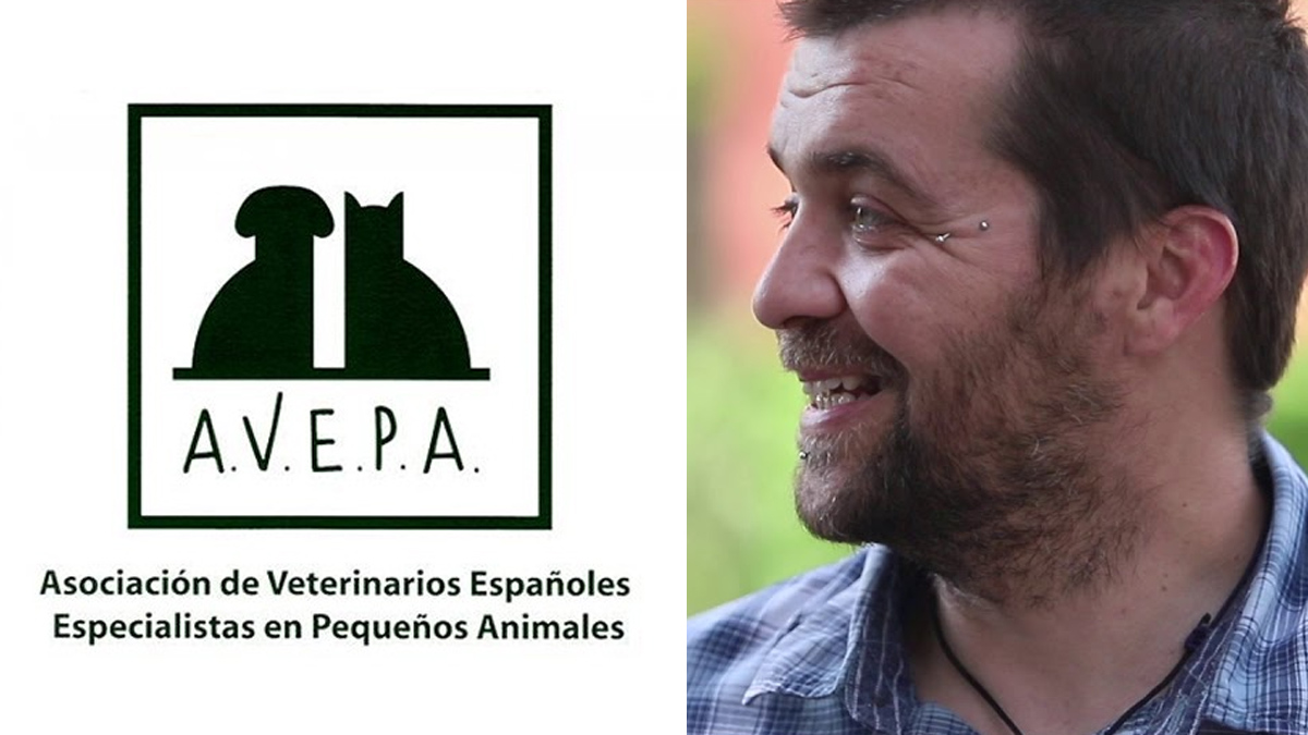   veterinarios contra ley de protección y bienestar animal